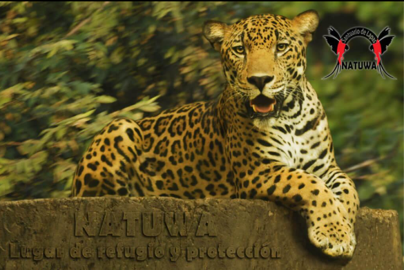 Natuwa Wildlife Sanctuary